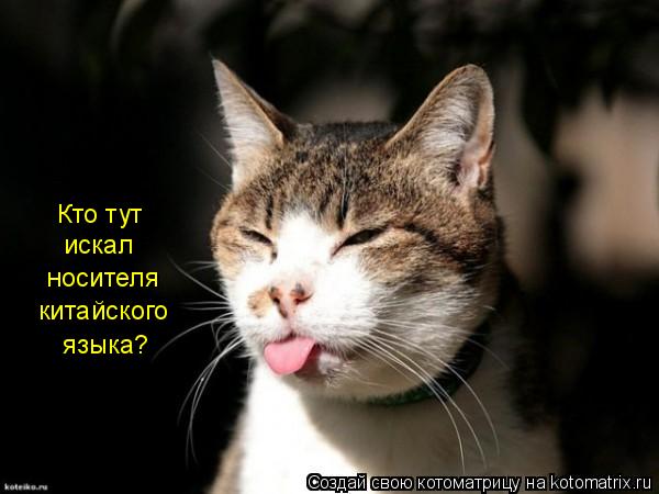 Мысли вслух :)