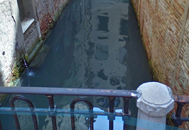 В Венеции из-за карантина очистились каналы, появилась рыба и вернулись лебеди  венеция,карантин,природа