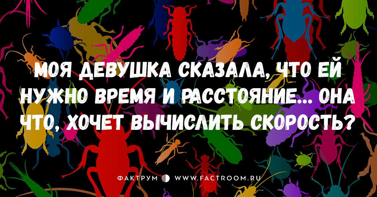 Подборка анекдотов для тех, кто немного заскучал Подборка анекдотов для тех, кто немного заскучал