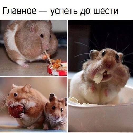 Картинки для вашего отличного настроения картинки