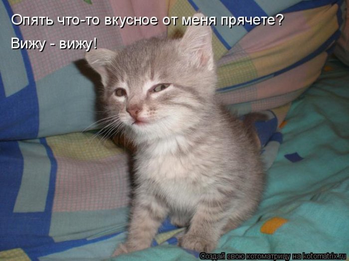 Мысли вслух :)