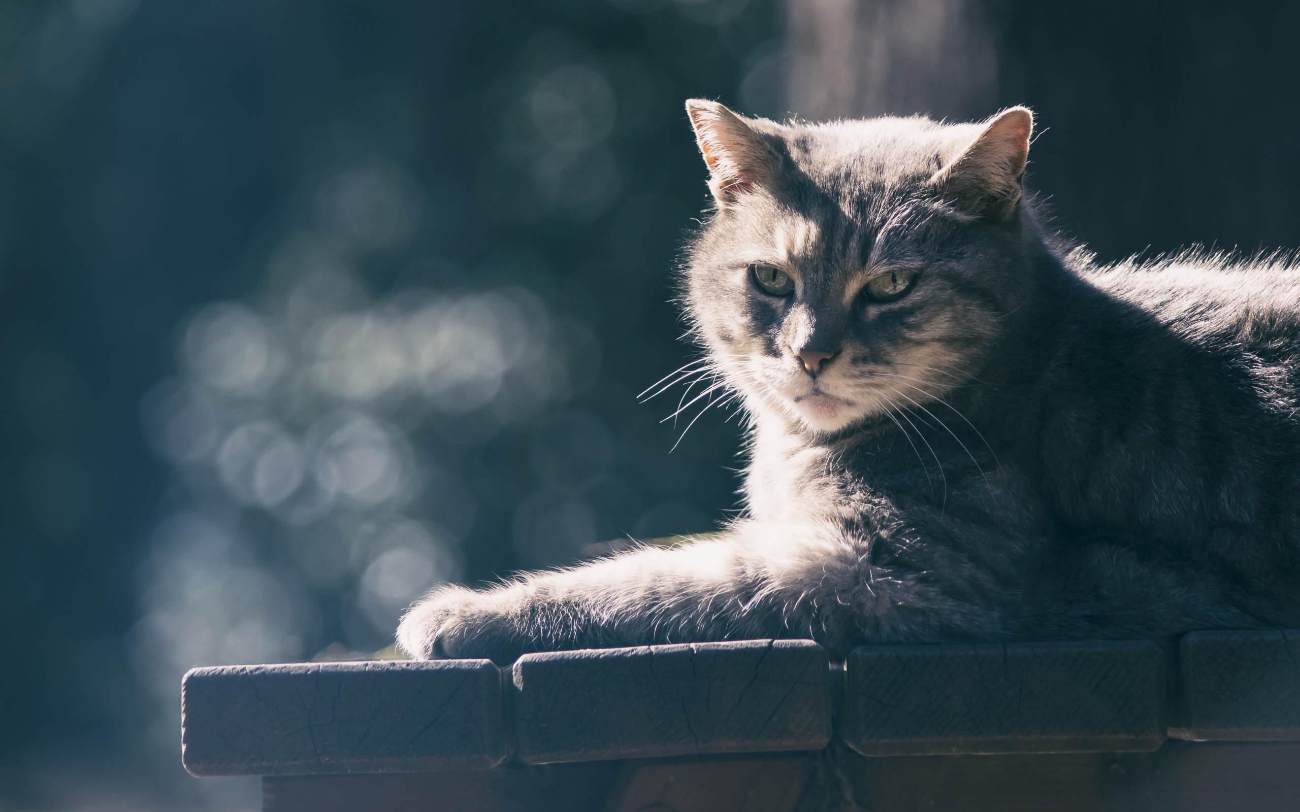 Нужны друг другу