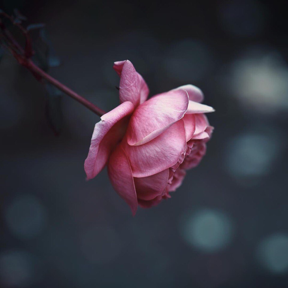 Классные картинки и милые фотографии из нашей жизни Классные картинки и милые фотографии из нашей жизни красивые фотографии,прикольные картинки,шикарные фотографии