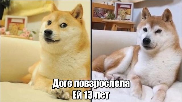 Смешные картинки и фото Смешные картинки и фото