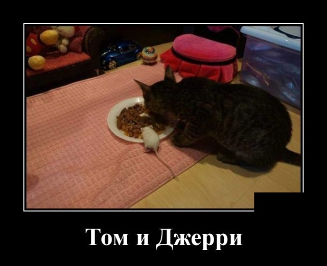 Вечерняя подборка классных и смешных демотиваторов Вечерняя подборка классных и смешных демотиваторов демотиваторы свежие,приколы,смешные демотиваторы