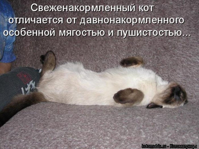Мысли вслух :)