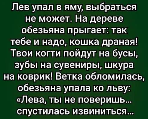 Шрек – это сын Иванушки-дурачка и лягушки анекдоты,демотиваторы,приколы,юмор