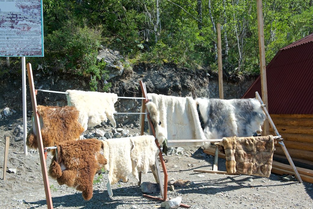 Путешествие на Алтай. К Голубому озеру через перевал Чике-Таман 