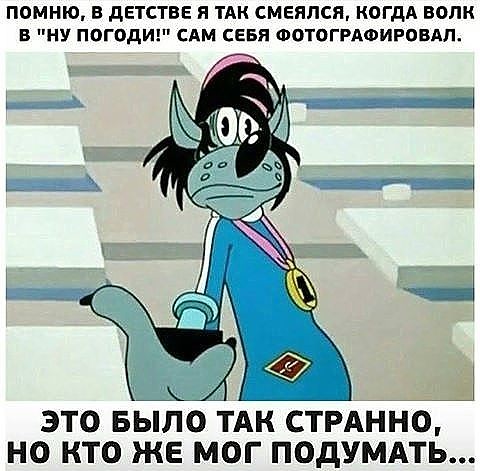 Чтобы вместо птицы счастья не прилетело чудо в перьях — не будь сам павлином анекдоты,веселые картинки,демотиваторы,приколы,юмор