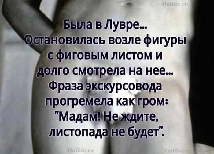 Порция яркого юмора: 19 лучших анекдотов и шуток в картинках 