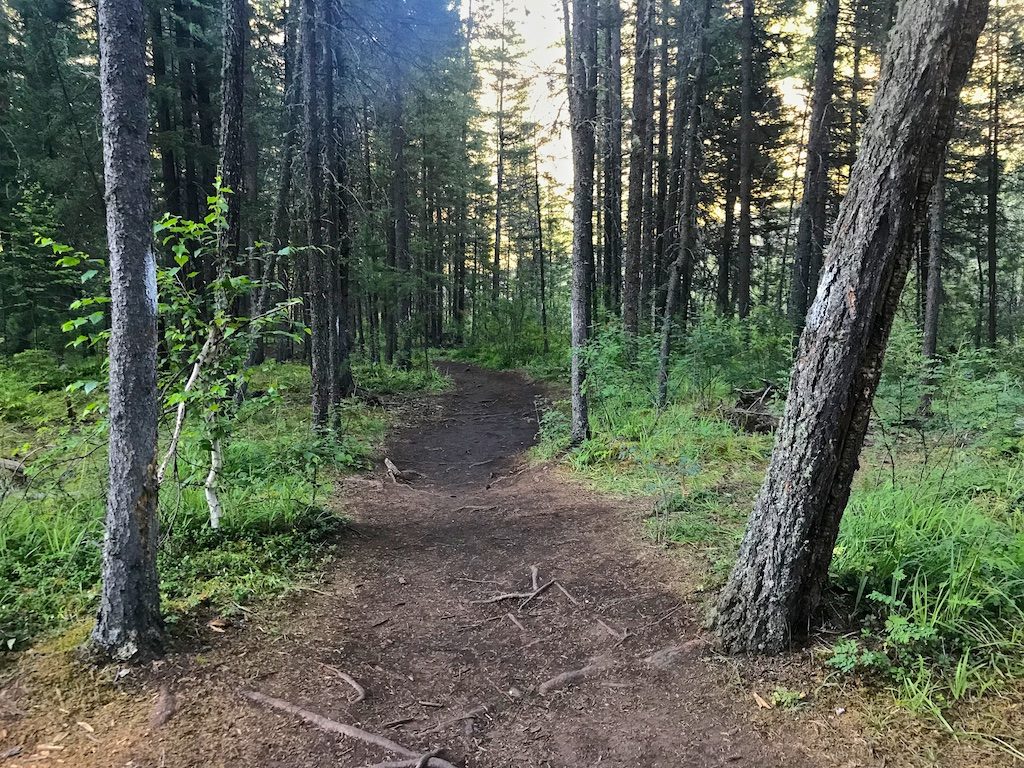 Путешествие на Алтай. К Голубому озеру через перевал Чике-Таман 