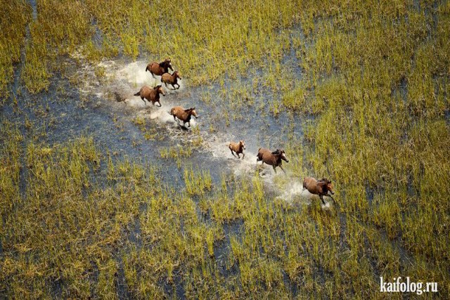   National Geographic 2015 (75 )