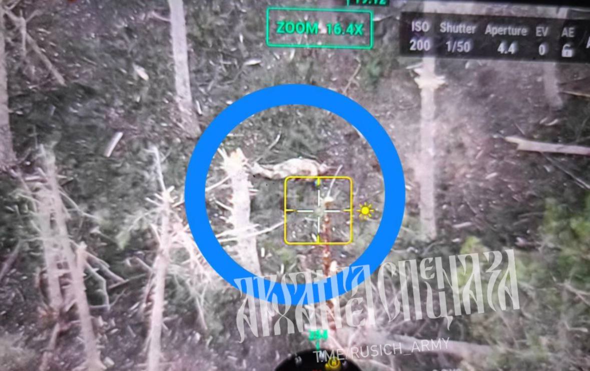 ЮЖНЫЙ ФРОНТ: НАСТУПЛЕНИЕ, НО НЕ ВСУ ЮЖНЫЙ ФРОНТ: НАСТУПЛЕНИЕ, НО НЕ ВСУ украина