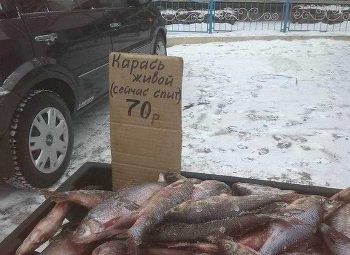 «Карась спит так что тихо тут!» «Карась спит так что тихо тут!»