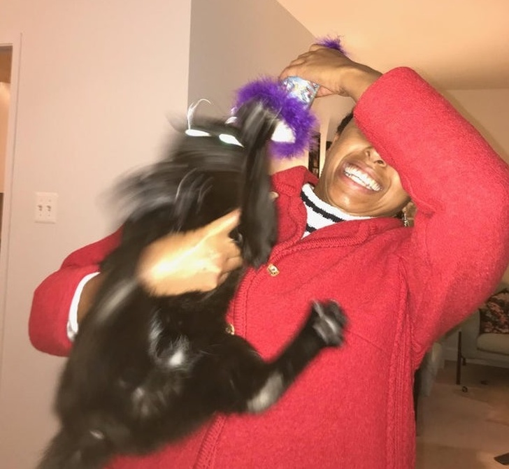 18 начинающих кошатников, которые уже пожалели, что впустили в дом этого мурлыкающего монстра 18 начинающих кошатников, которые уже пожалели, что впустили в дом этого мурлыкающего монстра