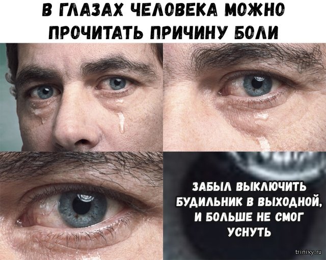 Подборка прикольных картинок Подборка прикольных картинок позитив