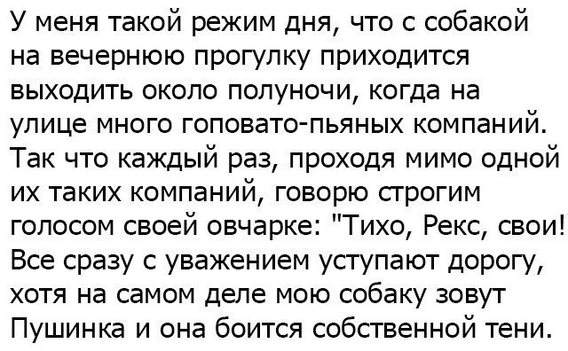 Забавные истории из жизни. Хороший юмор для хорошего настроения Забавные истории из жизни. Хороший юмор для хорошего настроения