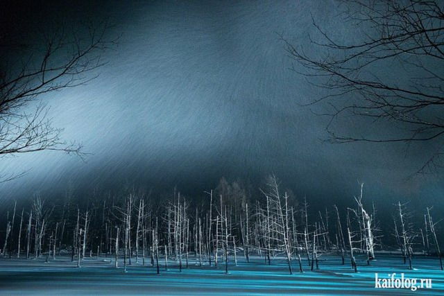   National Geographic 2015 (75 )
