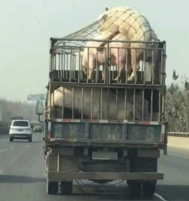 Сила оптимизма