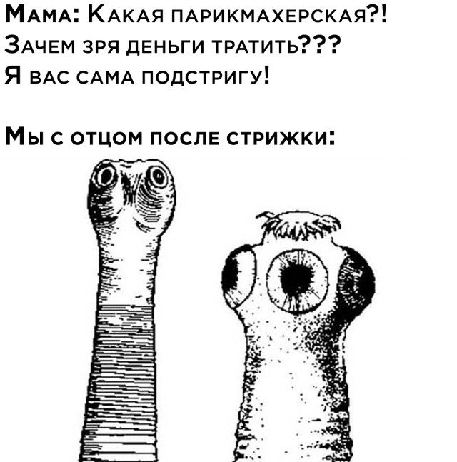 Немного прикольных моментов Немного прикольных моментов позитив,смешные картинки,юмор