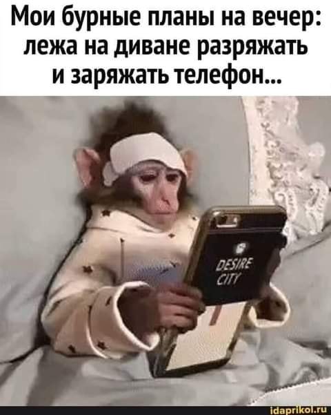 Юмор из интернета 615