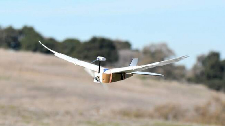 PigeonBot: создан пернатый робот, он летает, как настоящий голубь.