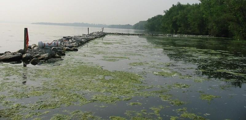 Самые опасные реки и озер мира водоем, озеро, Озеро, самых, отходов, причиной, согласно, озера, Карачай, тысяч, смерти, только, катастрофы, бактериями, Тинто, полей, промышленных, губительны, достигает, очистительных