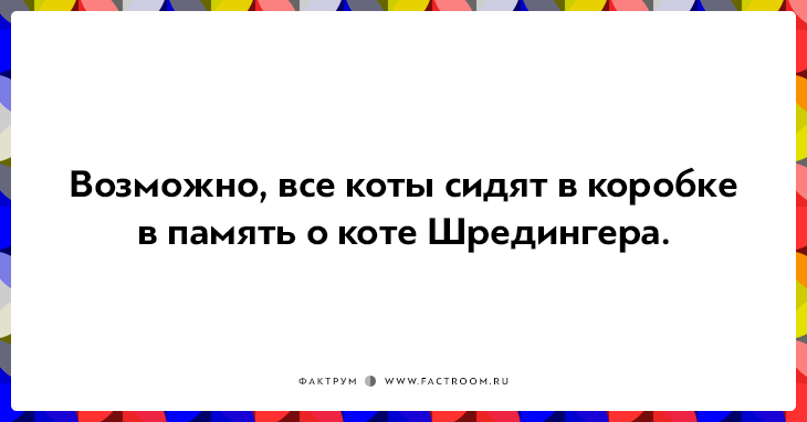 20 открыток о нелегкой жизни котов и их владельцев 20 открыток о нелегкой жизни котов и их владельцев