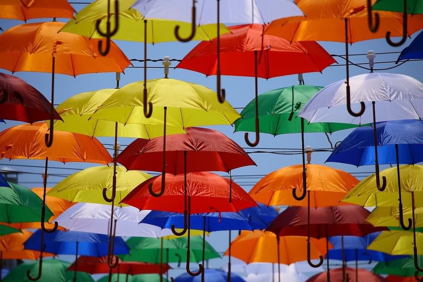 Как правильно выбрать зонт?
