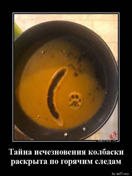 Свежий сборник прикольных демотиваторов: «С добрым утром!»  