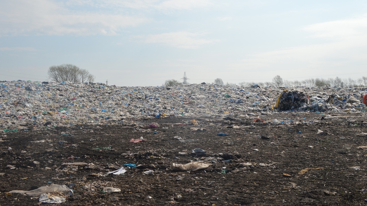 Суд запретил завозить отходы из других регионов на свалку ТБО в Рязанской области
