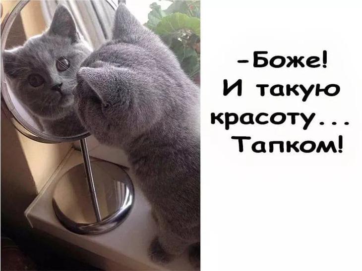 Свежая порция удовольствия: 20 отличных анекдотов, шуток, приятностей и забавностей в картинках Свежая порция удовольствия: 20 отличных анекдотов, шуток, приятностей и забавностей в картинках
