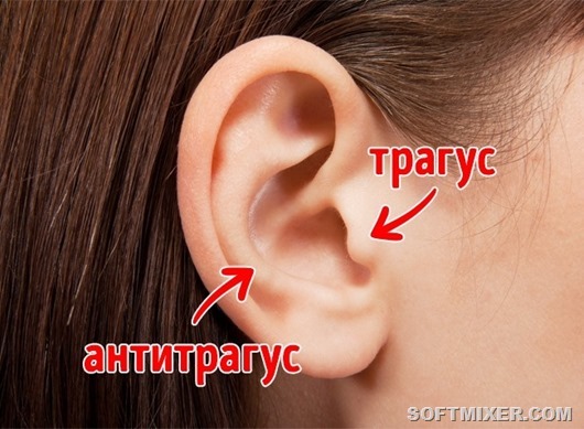clip_image005