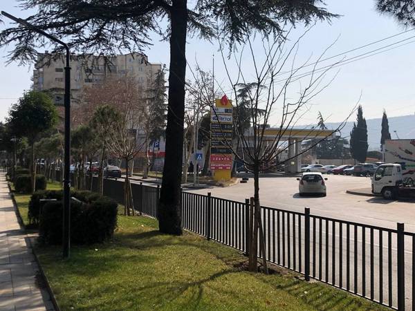 Жители Грузии резко осудили «истерию шовинизма» вокруг Московского проспекта в Тбилиси