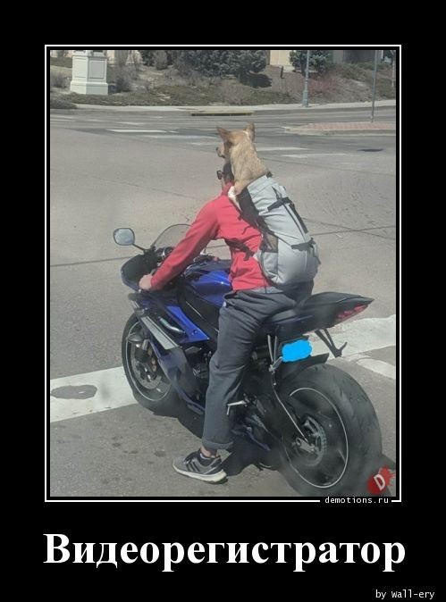 Демотиваторы для всех: «Режим игры — mega hard» 