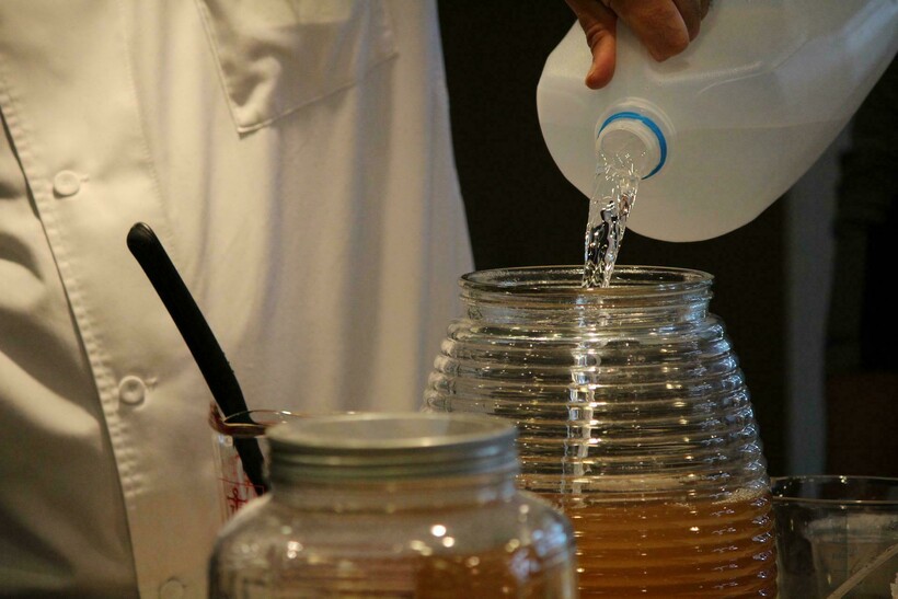 Процесс приготовления напитка на чайном грибе. Фото: kelseysue2/pixabay.com 