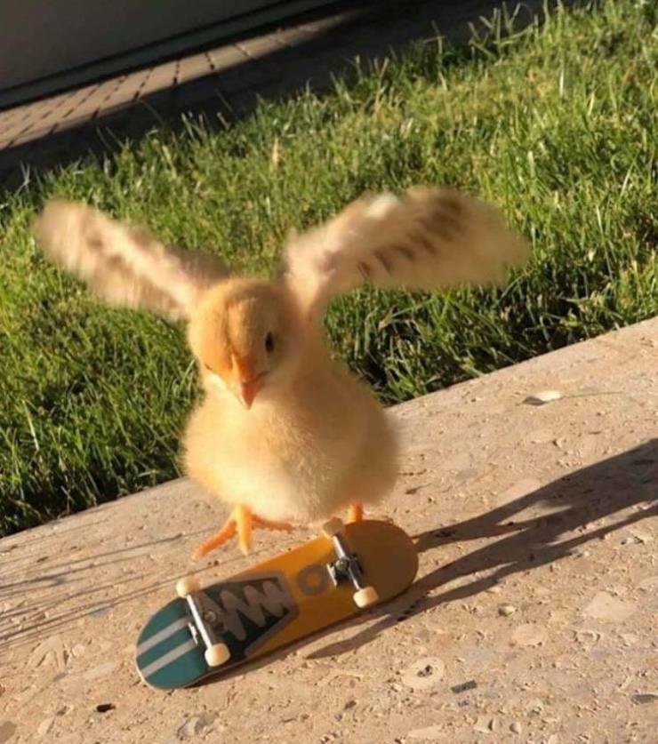 Подборка прикольных картинок Подборка прикольных картинок приколы,смешные картинки,юмор