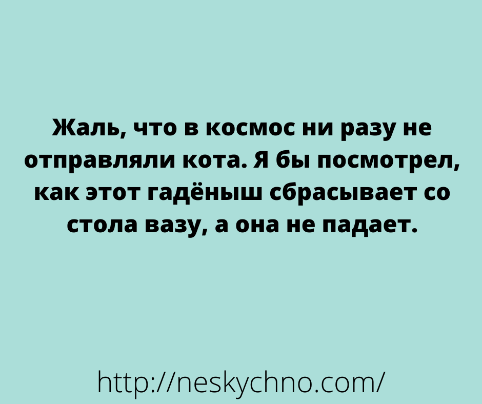 Свежая подборка юмора для тех, кто идет с улыбкой по жизни! 