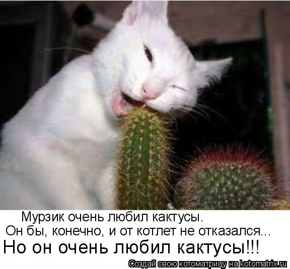 Мысли вслух :)