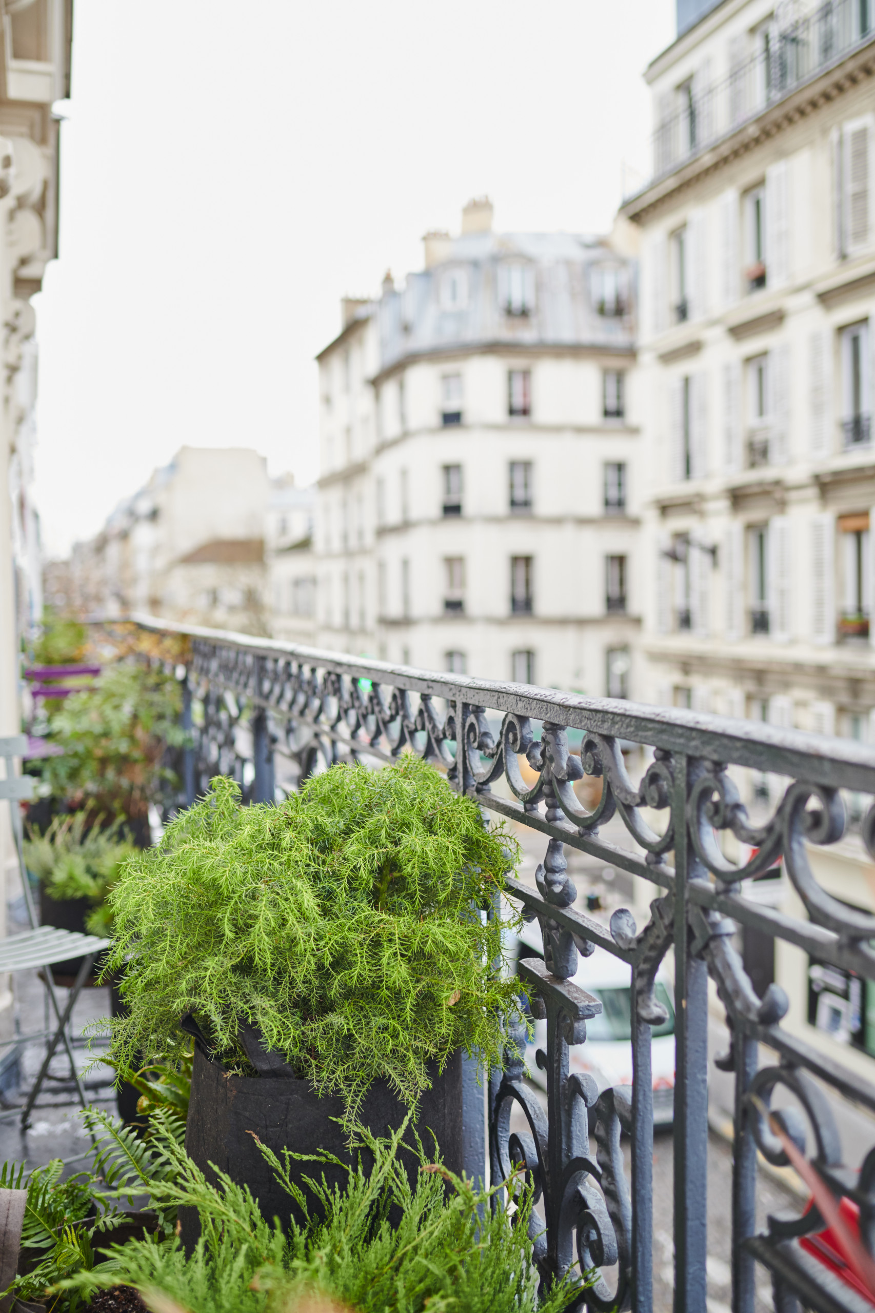 6 проектов: Что сажают на своих балконах французы где и как,кто,цветоводство