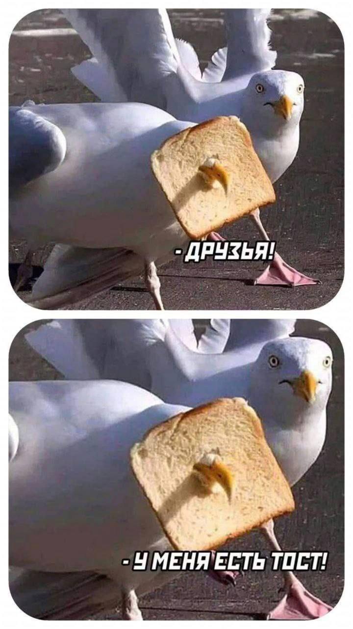 Смешная картинка 5