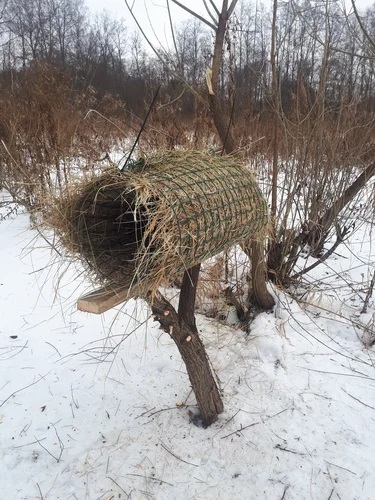 Гнезда для уток. Опыт специалистов