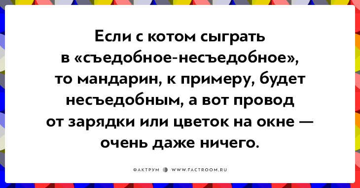 20 открыток о нелегкой жизни котов и их владельцев 20 открыток о нелегкой жизни котов и их владельцев