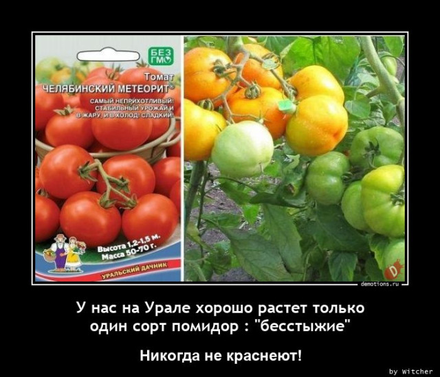 Демотиваторы на любой вкус: «Когда пельмени ещё не остыли» 