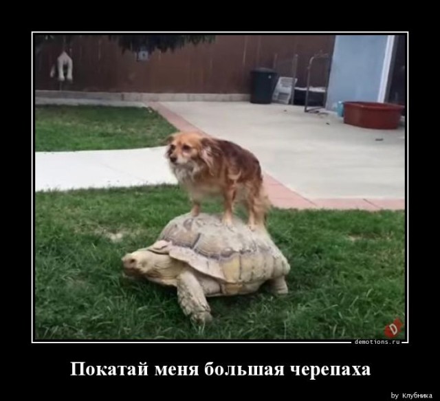 Демотиваторы для всех: «Режим игры — mega hard» 