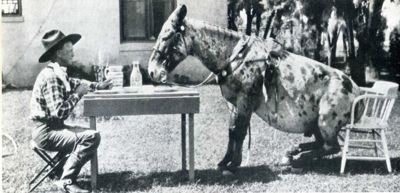 Лови момент истории: 35 самых удачных фото, украшавших журнал LIFE 