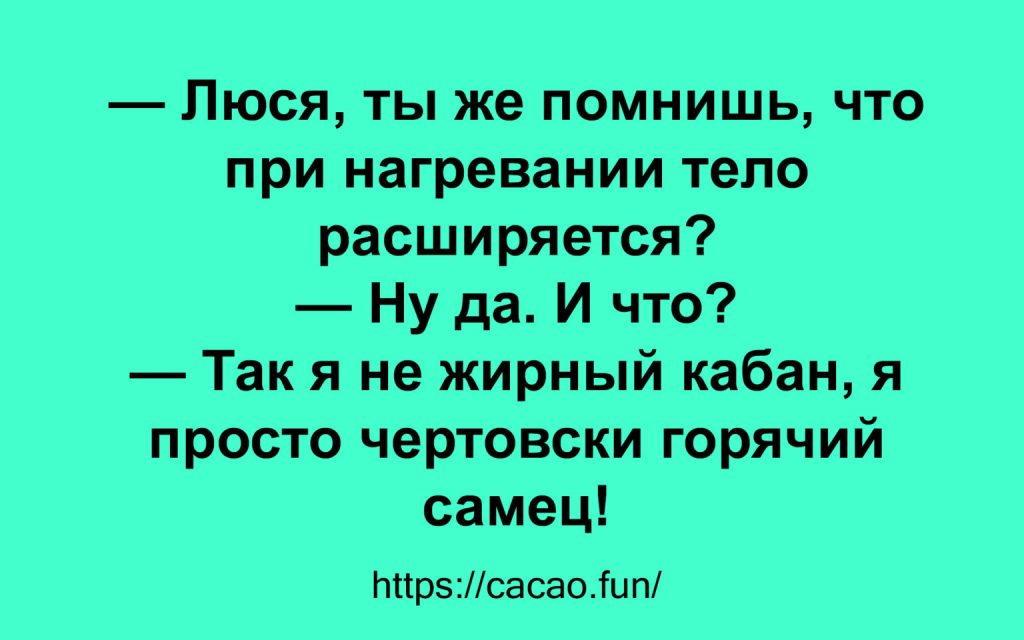 Задорные жизненные цитаты с нотками юмора Задорные жизненные цитаты с нотками юмора