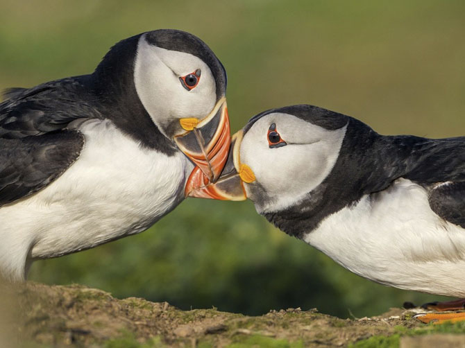 Лучшие фотографии National Geographic за июль 2014