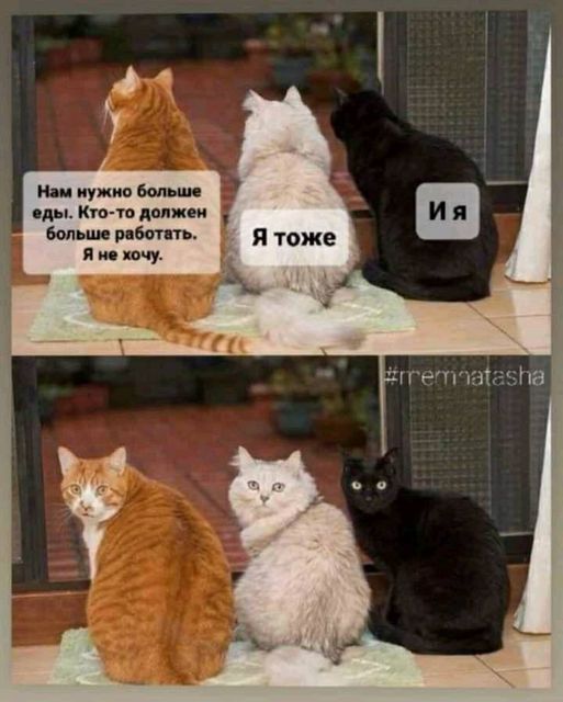 Юмор из интернета 706 Юмор из интернета 706 смех,улыбки,юмор