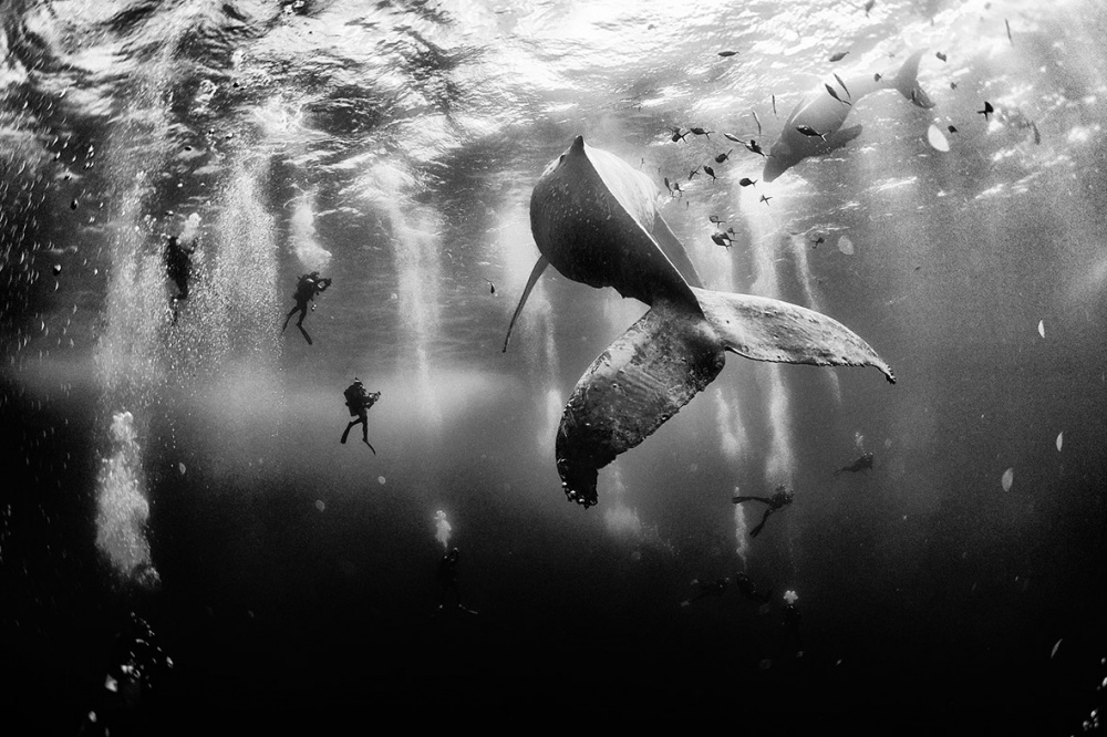 20   National Geographic